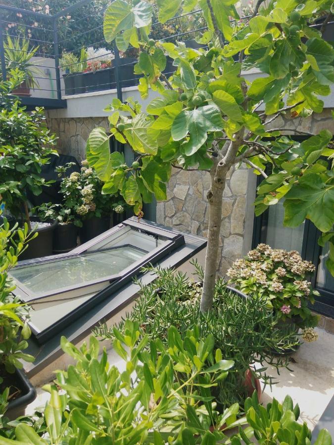Artspace Location-Opatija-3 Bedroom House With Rooftop Garden By Beach Buitenkant foto